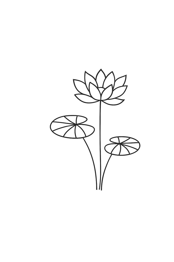 Geburtsblume Wasserlilie