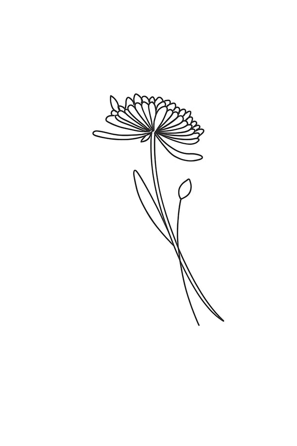 Geburtsblume Chrysantheme
